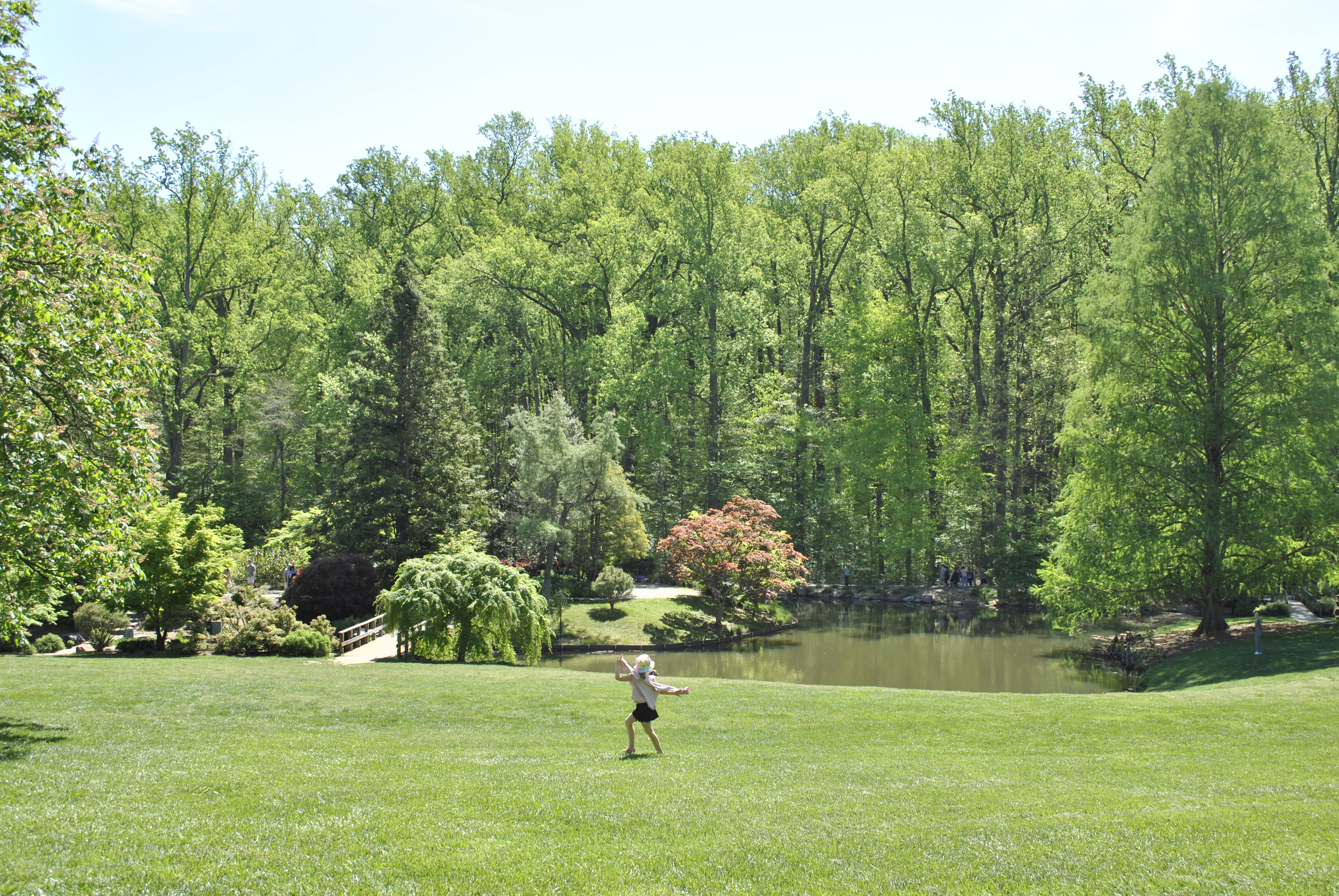 Brookside Gardens